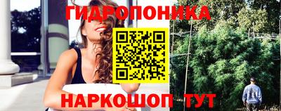 jwh Гусь-Хрустальный