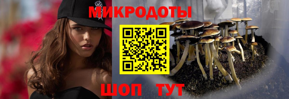 Псилоцибиновые грибы Magic Shrooms  Псилоцибиновые грибы мицелий  Вход с VPN  продажа наркотиков  Междуреченск 