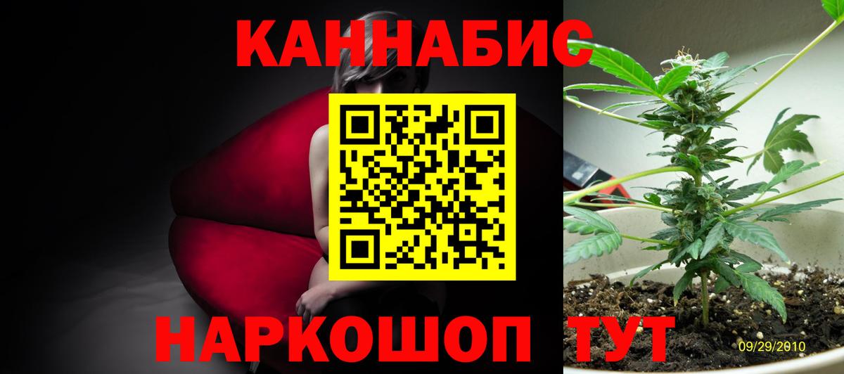 Междуреченск  Канабис White Widow  Вход с VPN  Бошки марихуана гибрид  МАРИХУАНА планчик 